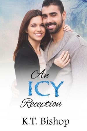 Cover of An Icy Reception