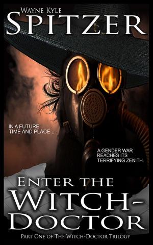 Cover of Enter the Witch Doctor by Wayne Kyle Spitzer, Hobb's End Books