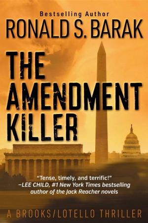 bigCover of the book The Amendment Killer by 