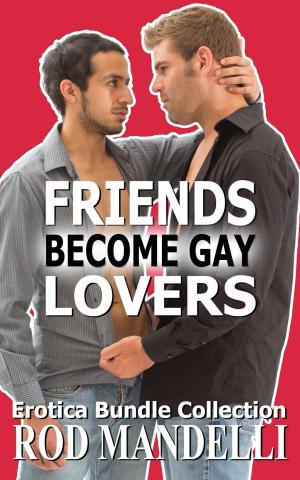 Cover of Friends Become Gay Lovers Erotica Bundle Collection