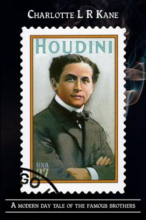 Cover of the book Houdini by Jordan Dane