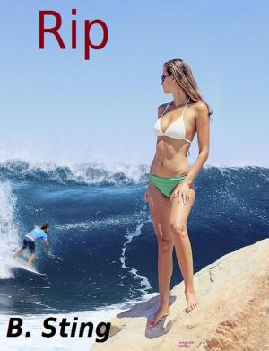 Cover of the book Rip by Felicity Jones