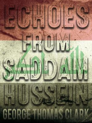 Book cover of Echoes From Saddam Hussein