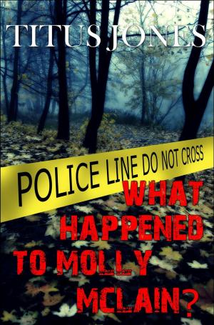 Book cover of What Happened to Molly McLain?