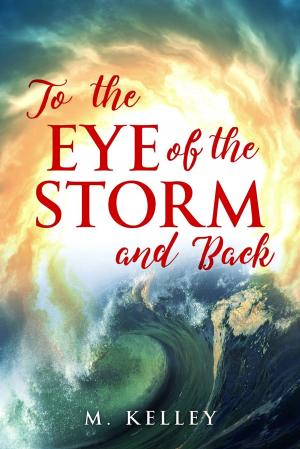 Cover of To the Eye of the Storm and Back