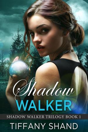 Cover of the book Shadow Walker by Leslie O'Kane