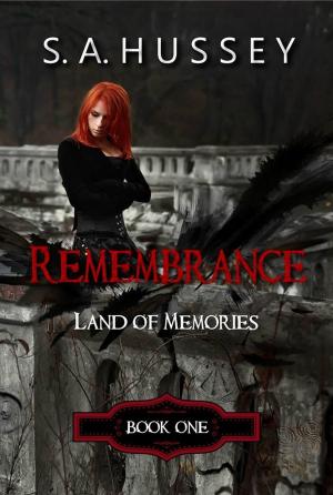 Cover of the book Remembrance: Land of Memories by Melissa Sasina