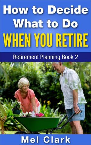 Cover of the book How to Decide What to Do When You Retire (Retirement Planning Book 2) by Brent Meyer