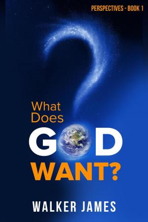 bigCover of the book What Does God Want? by 