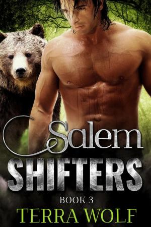 Cover of Salem Shifters Book Three