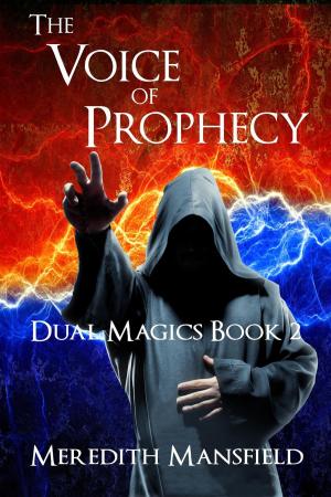 Cover of the book The Voice of Prophecy by Christopher Kellen