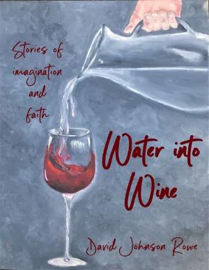 Cover of the book Water Into Wine: Stories of Imagination and Faith by D. E. Park