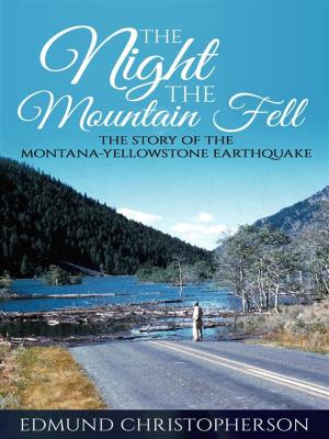 Cover of The Night the Mountain Fell
