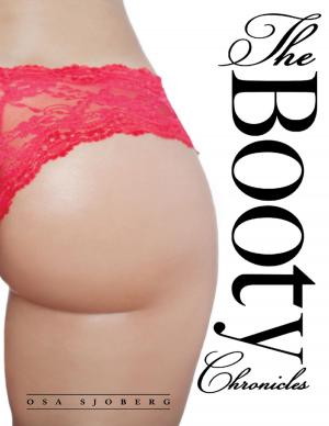 Book cover of The Booty Chronicles