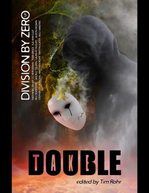 Cover of the book Double Take: Division By Zero 5 by Ken Down