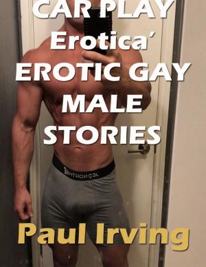 Book cover of Car Play Erotica’ Erotic Gay Male Stories