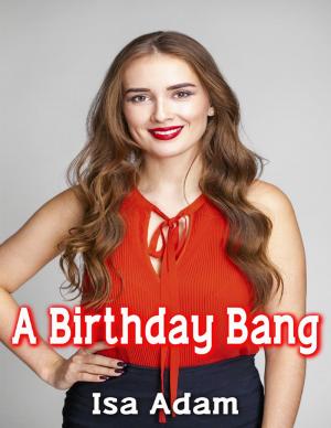 Cover of the book A Birthday Bang by Pamela Sthilaire