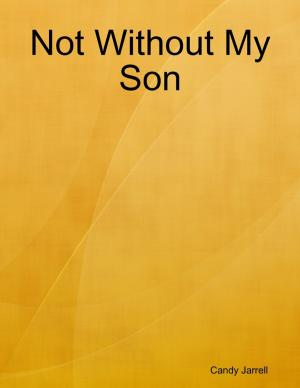 Cover of the book Not Without My Son by Javin Strome