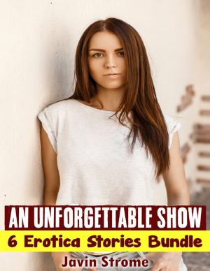 Cover of the book An Unforgettable Show: 6 Erotica Stories Bundle by Dawn Lucan