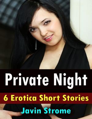 Book cover of Private Night: 6 Erotica Short Stories