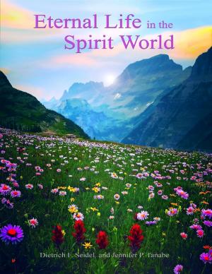 Book cover of Eternal Life In the Spirit World