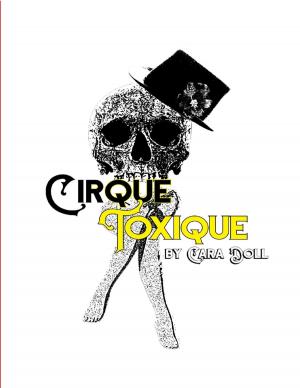 Cover of the book Cirque Toxique by Abdelkarim Rahmane