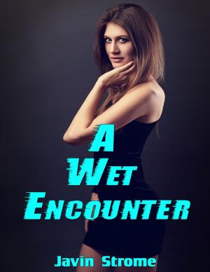 Book cover of A Wet Encounter