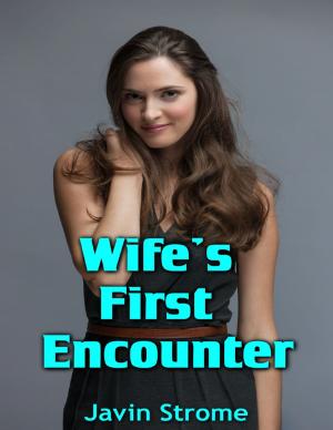 Cover of the book Wife’s First Encounter by D. E. Herweyer