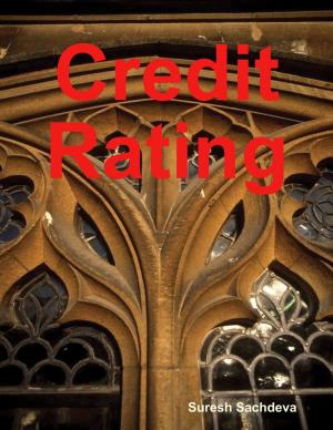 Cover of the book Credit Rating by Nick Robinson
