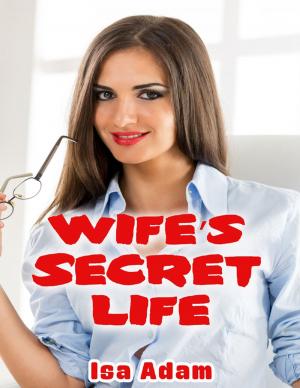 Cover of the book Wife’s Secret Life by R Ramakrishnan