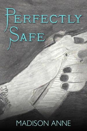 Cover of the book Perfectly Safe by C. E. Edmonson