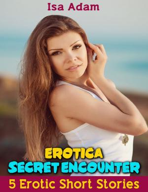 Book cover of Erotica: Secret Encounter: 5 Erotic Short Stories