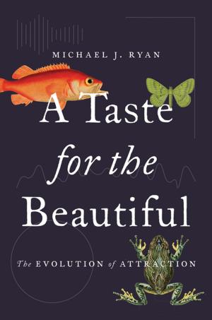 bigCover of the book A Taste for the Beautiful by 