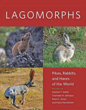 Cover of the book Lagomorphs by Ellen K. Silbergeld