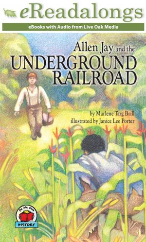 Cover of the book Allen Jay and the Underground Railroad by Robin Pulver
