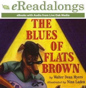Cover of the book The Blues of Flats Brown by Robin Pulver