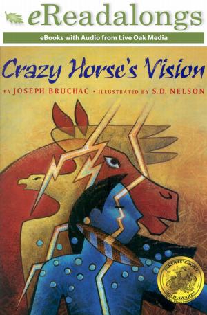 Cover of the book Crazy Horse's Vision by David A. Adler