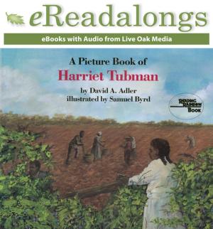 Cover of the book A Picture Book of Harriet Tubman by George Goldthwaite