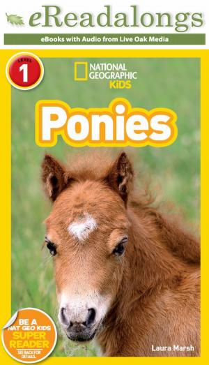 Cover of the book Ponies by David A. Adler