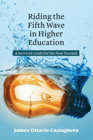 Cover of the book Riding the Fifth Wave in Higher Education by Bianca Wohlfart