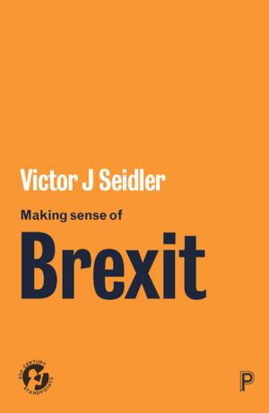 Cover of the book Making sense of Brexit by Golding, Tyrrell, Conradie, Liesl