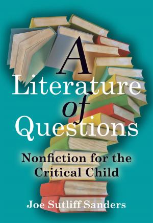 Cover of the book A Literature of Questions by Katherine Groo