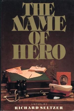 Book cover of The Name of Hero