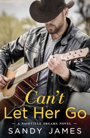 Cover of the book Can't Let Her Go by D. Watkins
