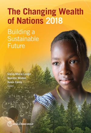Cover of the book The Changing Wealth of Nations 2018 by World Bank Group