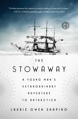 Cover of the book The Stowaway by Marisa Silver