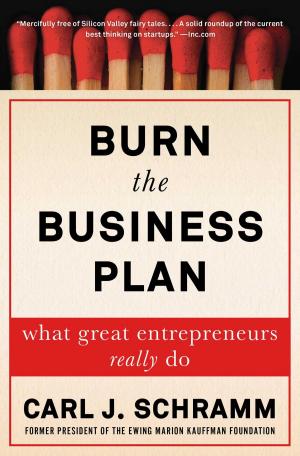 Cover of the book Burn the Business Plan by Michael Hiltzik
