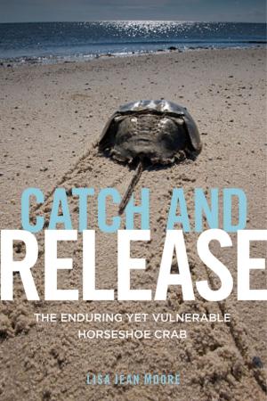 Cover of the book Catch and Release by Moshe Barasch, Luci Serrano