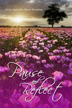 Cover of the book Pause and Reflect by Craig Rory Draheim