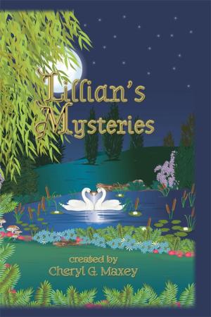 Cover of the book Lillian's Mysteries by Raymond H. Osbrink